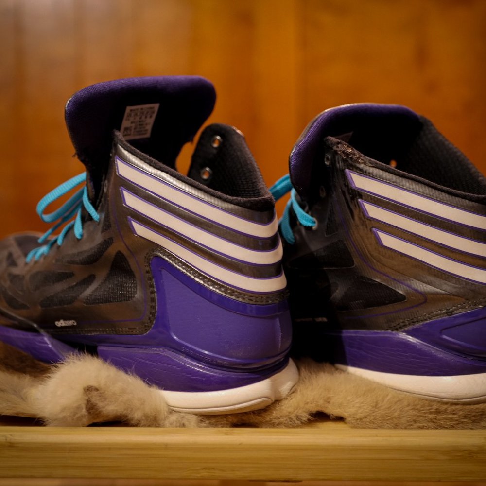 Adidas Sprint Web